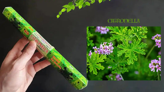 Incvee incense：A Comprehensive Guide to Citronella Incense: Benefits, Scent, and Uses