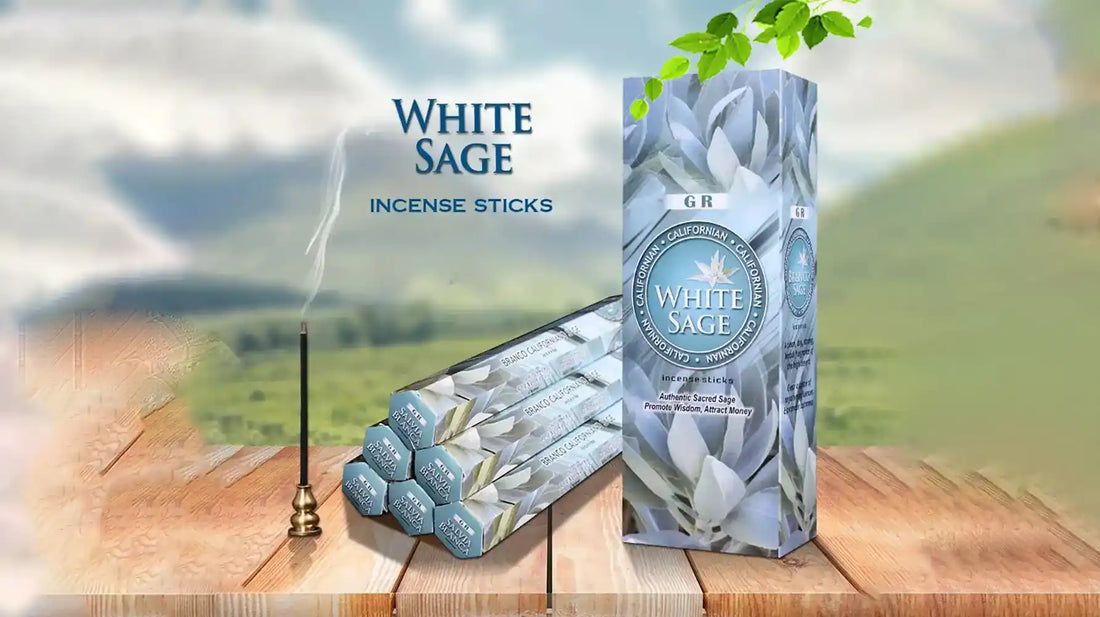 Incvee incense: White Sage Incense: A Comprehensive Guide to Its Benefits, Scent, and Uses