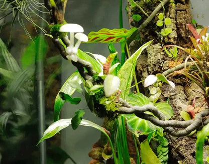 99 cm lange, rustikale Efeuranke aus künstlichem Rattan – flexibler, brauner Kletterast für DIY-Kränze und Dekorationen