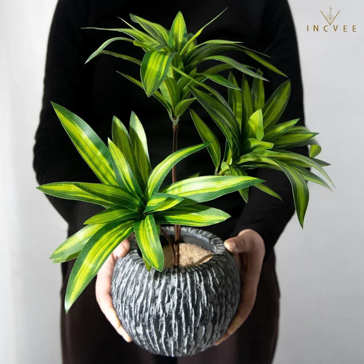 Künstliche Dracaena Reflexa mit 3 Köpfen – realistische Blätter, künstliche Pflanzen, Vasengrün, 36 cm