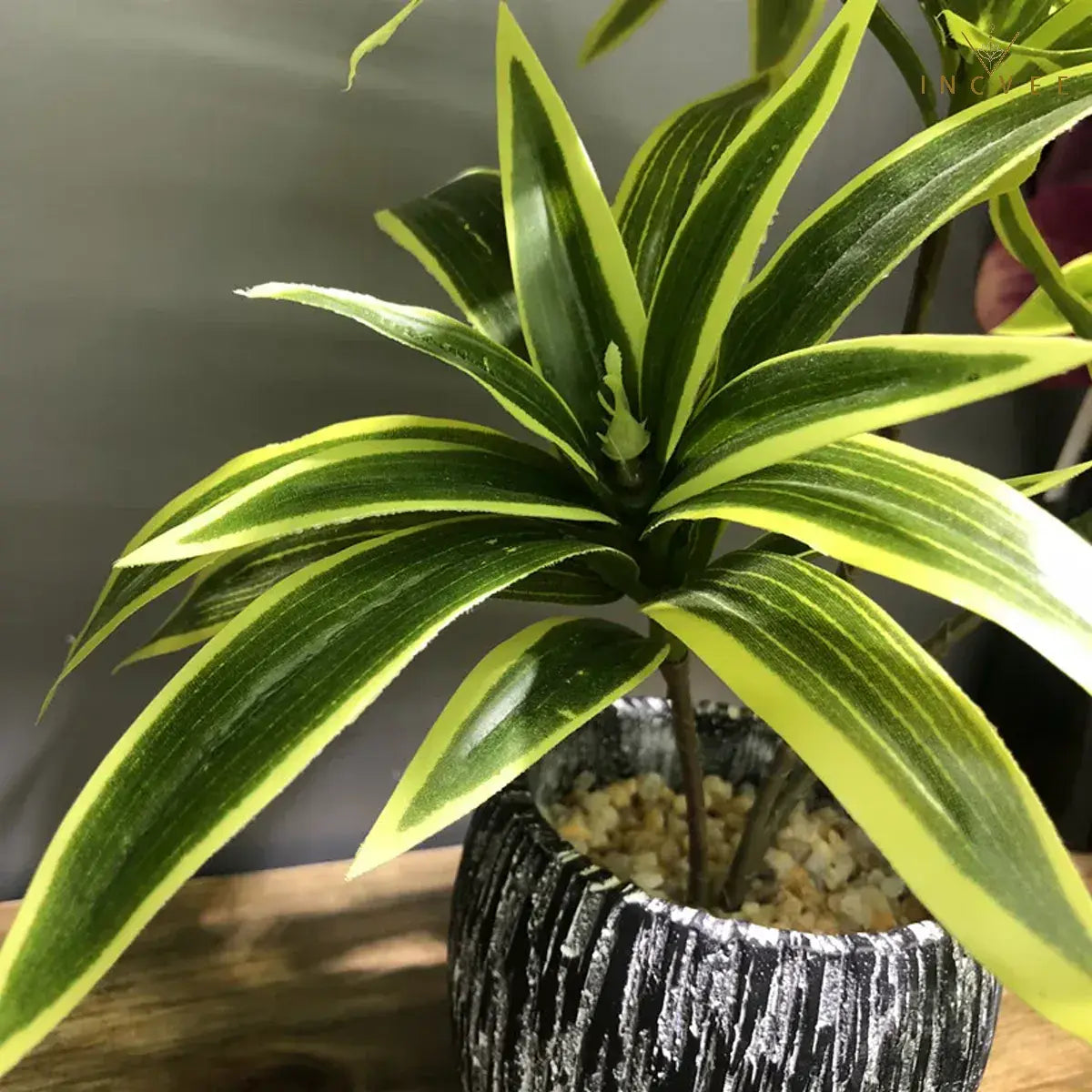 Künstliche Dracaena Reflexa mit 3 Köpfen – realistische Blätter, künstliche Pflanzen, Vasengrün, 36 cm