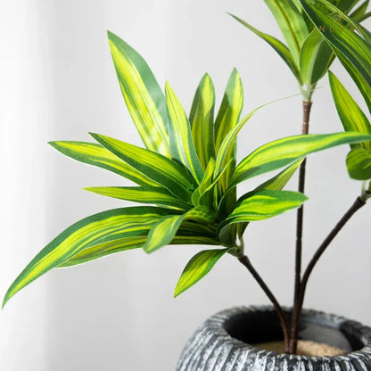 Künstliche Dracaena Reflexa mit 3 Köpfen – realistische Blätter, künstliche Pflanzen, Vasengrün, 36 cm