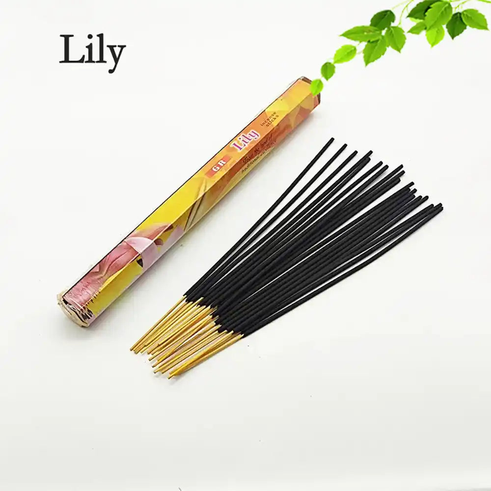 GR Indian Incense Sticks - 20 Sticks Fengshui Palo Santo Coconut Sandalwood Jasmine