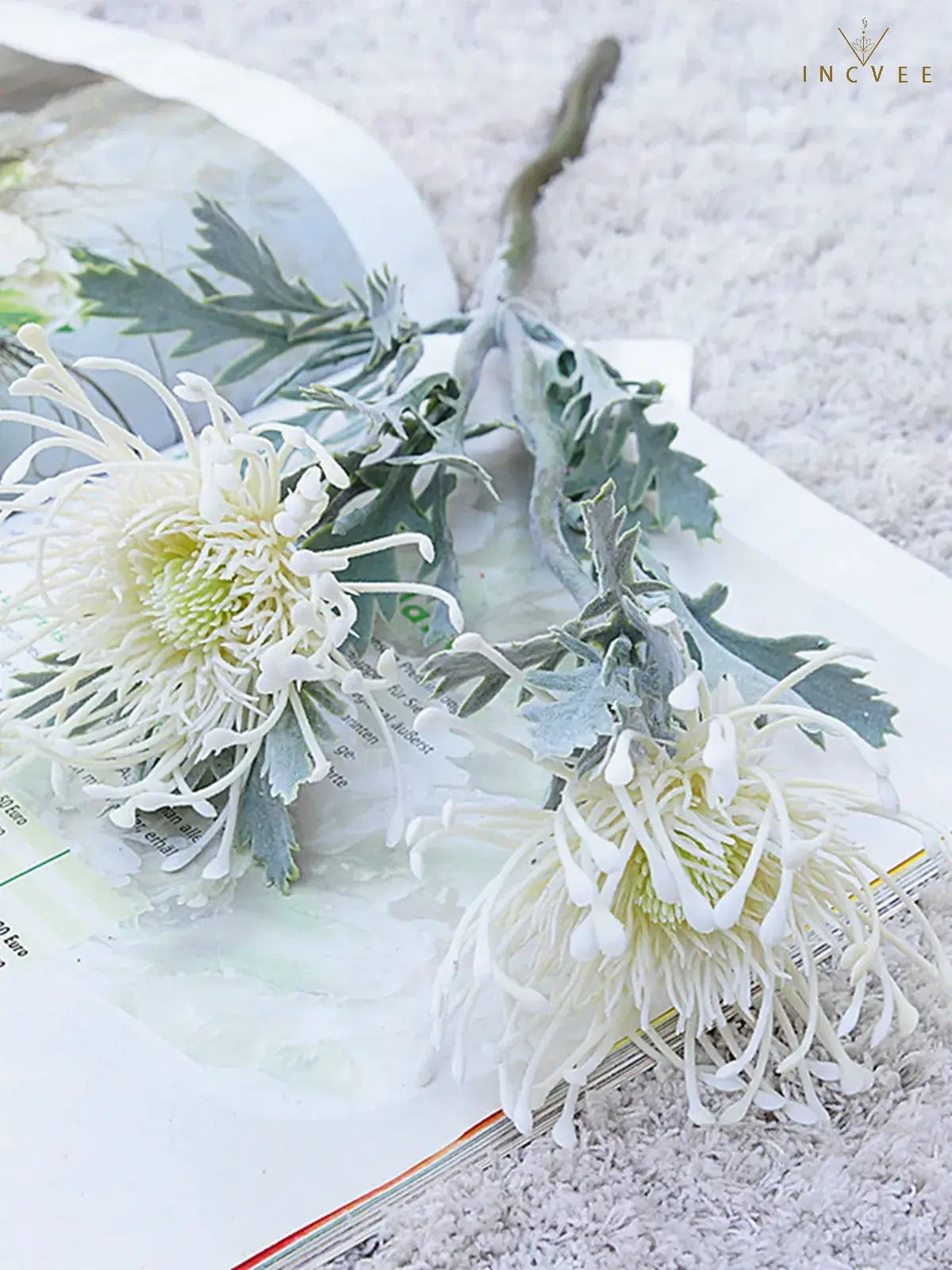 Vintage Faux Dried Artificial Pincushion Flower - Short Branch Crab Claw,  Flocked Frost, 2 Heads, 15in